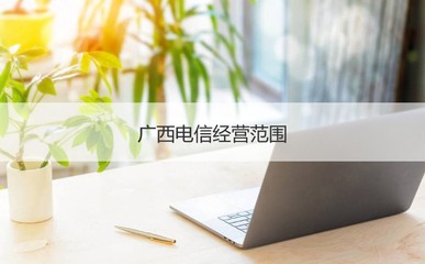 廣西電信九崗員工待遇及經(jīng)營(yíng)范圍分析