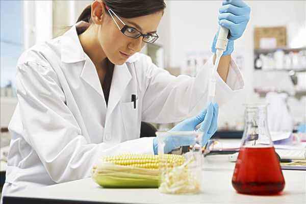 食品科學(xué)與工程專業(yè) 多元就業(yè)路徑與職業(yè)中介服務(wù)賦能